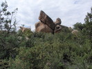 photo thumbnail #10