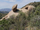 photo thumbnail #14