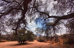 photo thumbnail #9