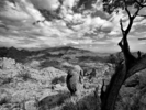 photo thumbnail #11