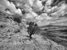 photo thumbnail #12