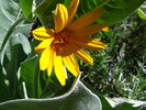 photo thumbnail #7