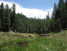photo thumbnail #4