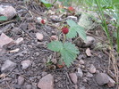photo thumbnail #7