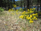 photo thumbnail #3