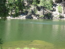 photo thumbnail #5