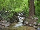 photo thumbnail #2