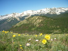 photo thumbnail #11