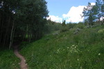photo thumbnail #13