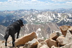 photo thumbnail #11