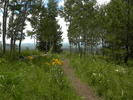 photo thumbnail #2