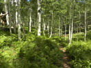photo thumbnail #11