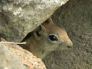 photo thumbnail #12