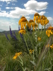 photo thumbnail #14