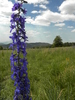 photo thumbnail #15