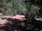photo thumbnail #7
