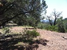 photo thumbnail #8