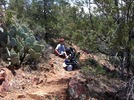 photo thumbnail #12