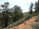 photo thumbnail #13
