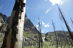 photo thumbnail #14