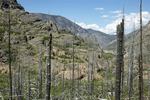 photo thumbnail #13