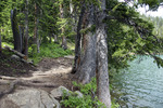 photo thumbnail #9