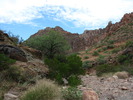 photo thumbnail #11