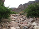 photo thumbnail #14
