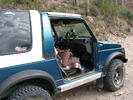 photo thumbnail #3