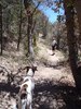 photo thumbnail #2