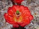 photo thumbnail #4