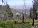 photo thumbnail #1