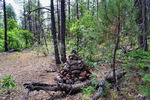 photo thumbnail #12