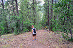 photo thumbnail #13