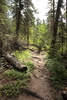 photo thumbnail #6