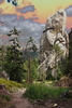 photo thumbnail #12