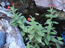 photo thumbnail #2