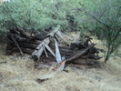 photo thumbnail #8