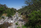photo thumbnail #8