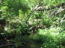 photo thumbnail #8