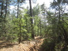 photo thumbnail #15