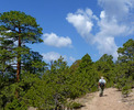 photo thumbnail #4