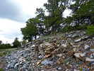 photo thumbnail #14