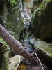 photo thumbnail #12