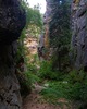 photo thumbnail #14