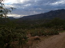 photo thumbnail #1