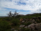 photo thumbnail #5
