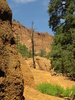 photo thumbnail #8
