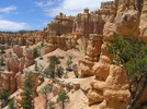 photo thumbnail #9
