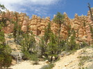 photo thumbnail #11